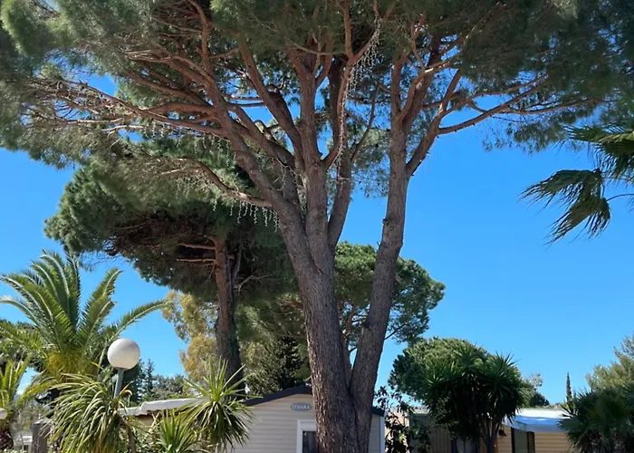 Del Mar 125, Mobile O'hara Superieur 1060, 3 Chambres, 40 M2, Terrasse * Argelès-sur-Mer